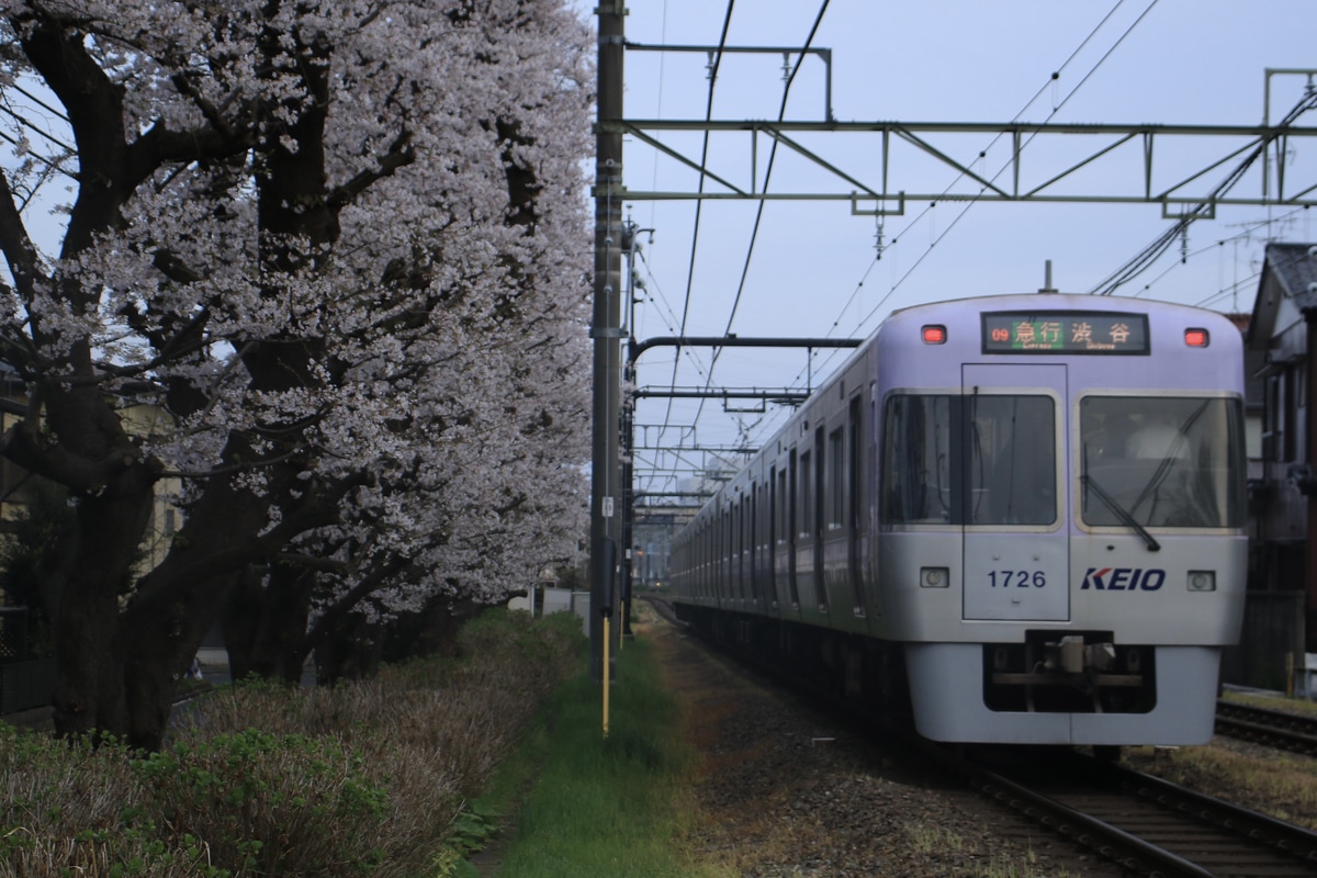 京王電鉄 富士見ヶ丘検車区 1000系 1776F