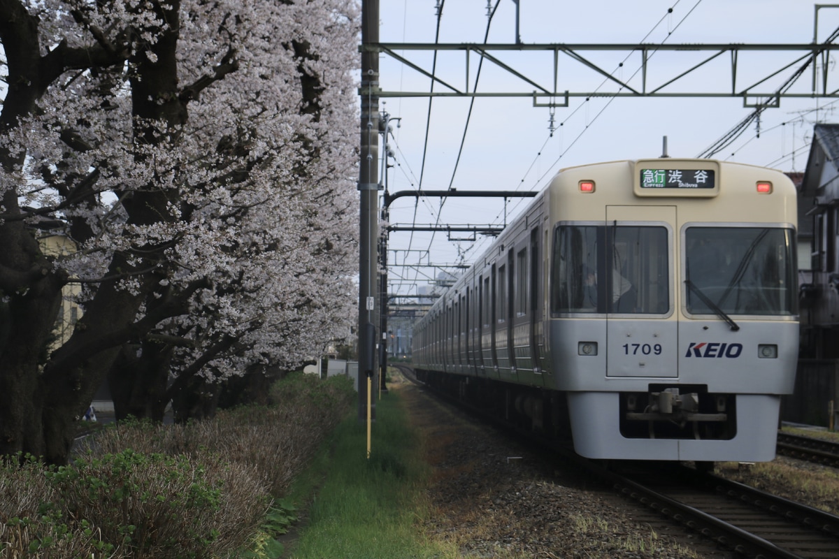 京王電鉄 富士見ヶ丘検車区 1000系 1759F