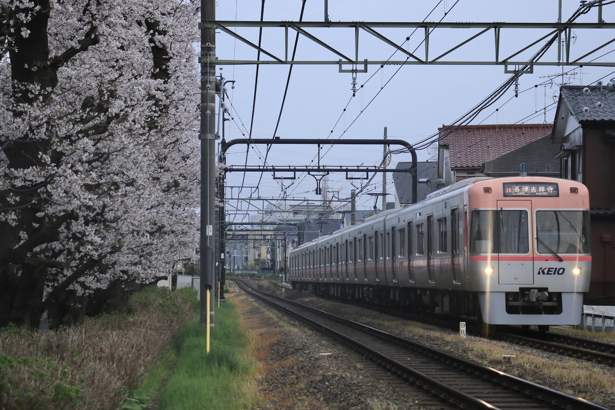 京王電鉄 富士見ヶ丘検車区 1000系 1781F