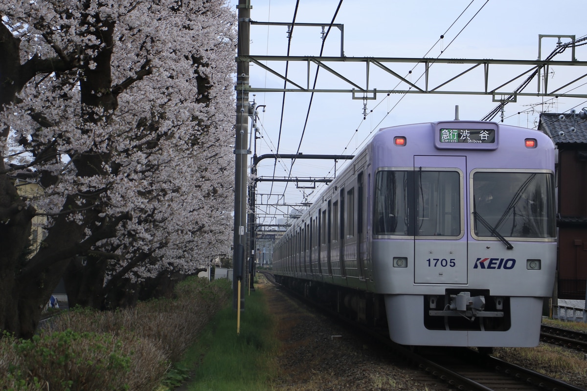 京王電鉄 富士見ヶ丘検車区 1000系 1755F