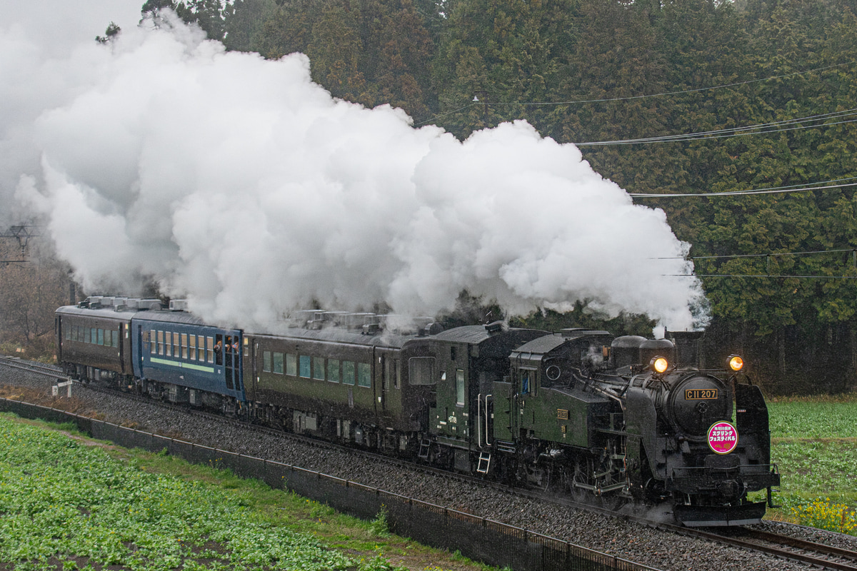 東武鉄道 下今市機関区 C11 207