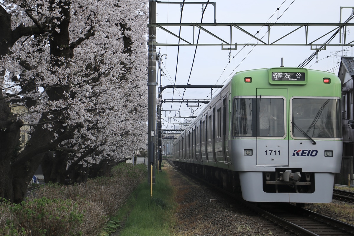 京王電鉄 富士見ヶ丘検車区 1000系 1761F