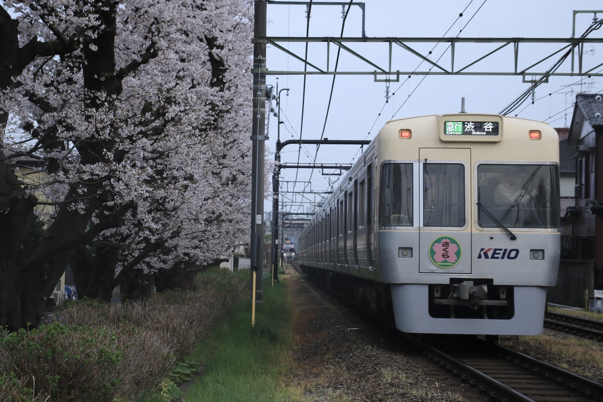 京王電鉄 富士見ヶ丘検車区 1000系 1752F