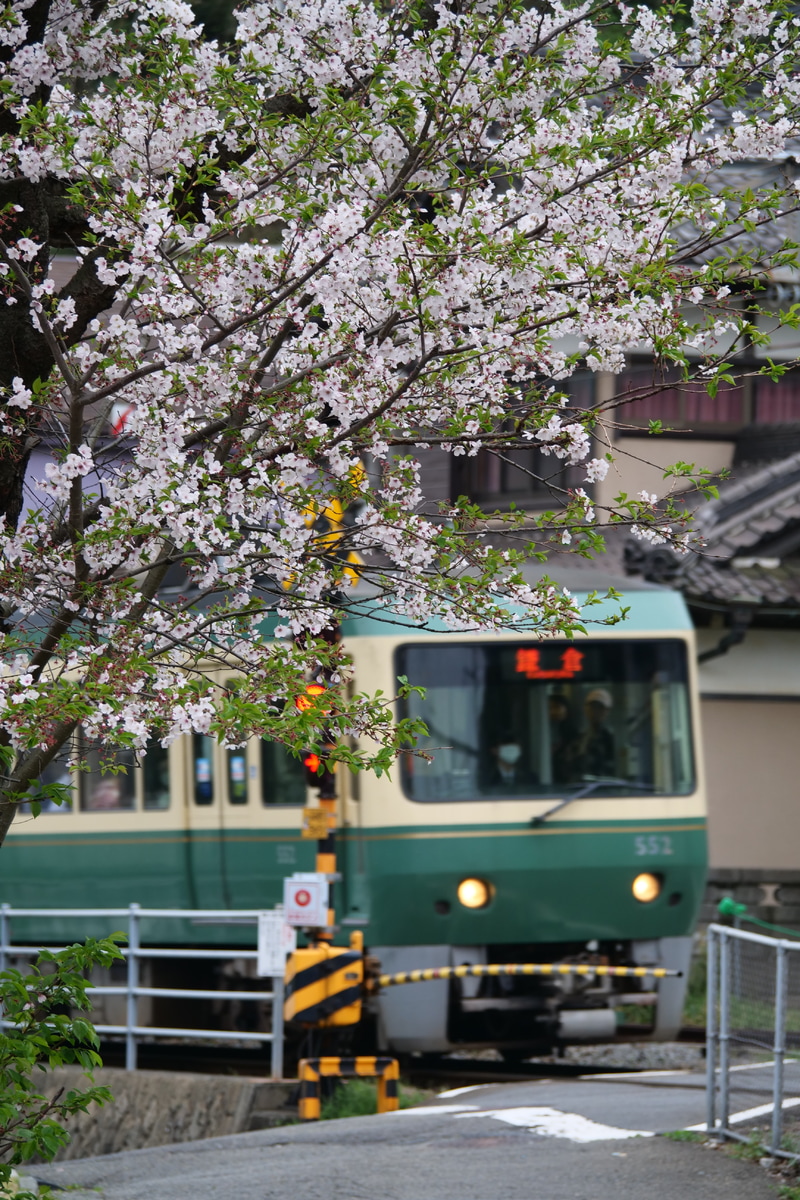 江ノ島電鉄 極楽寺検車区 500形 502F