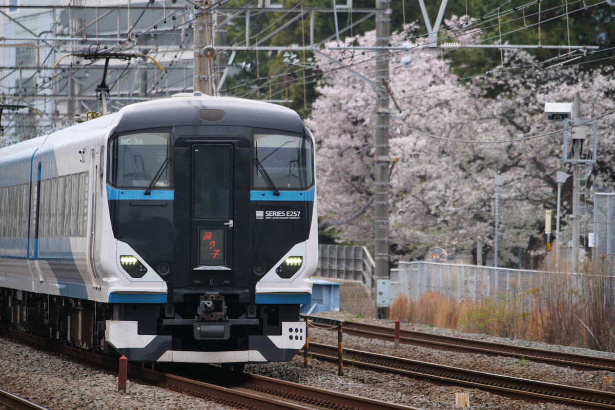 JR東日本  E257系 NC-34編成