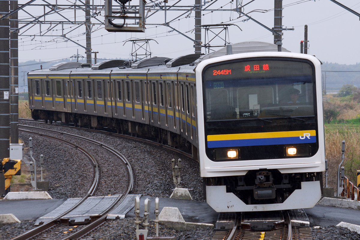 JR東日本 幕張車両センター 206系 マリC604編成