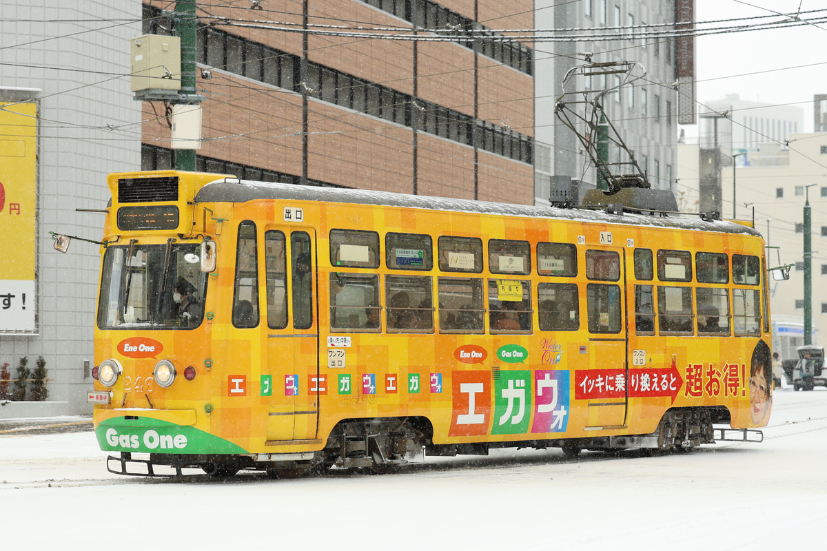 札幌市交通局  240形 246