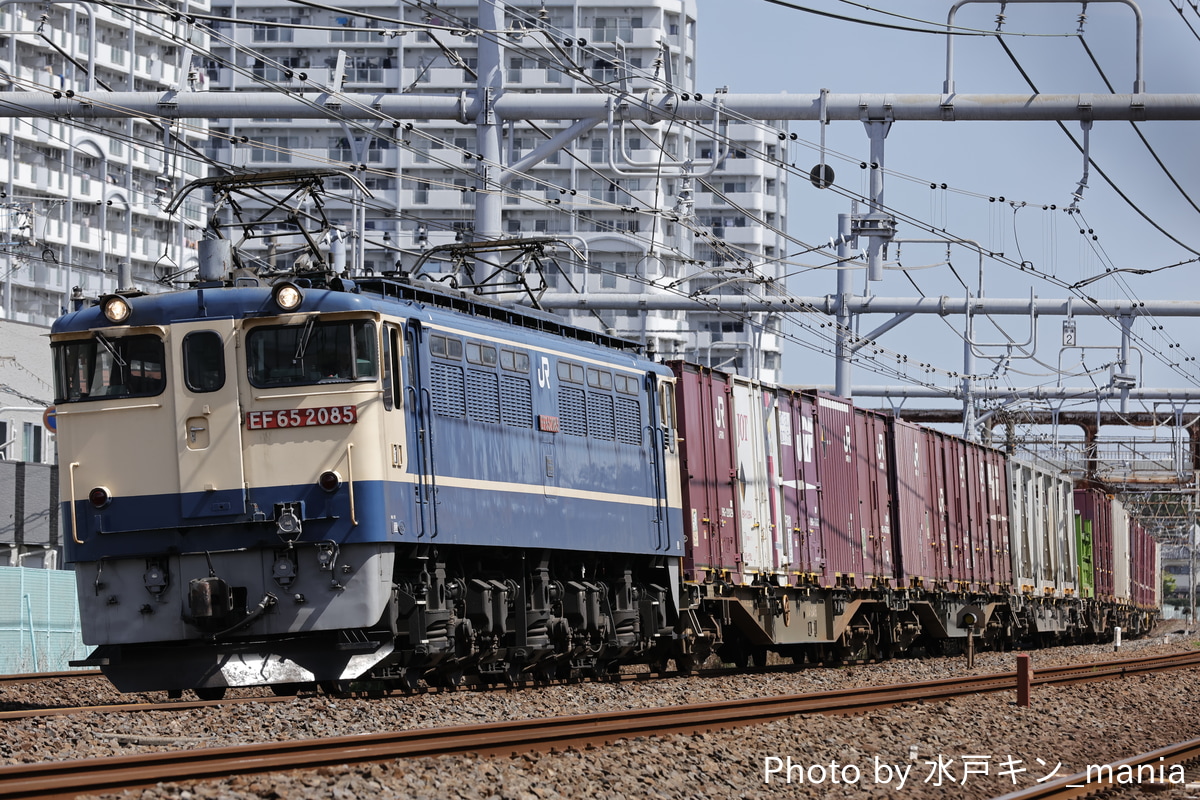 JR貨物 新鶴見機関区 EF65 2085