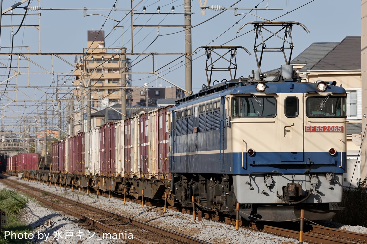 JR貨物 新鶴見機関区 EF65 2085