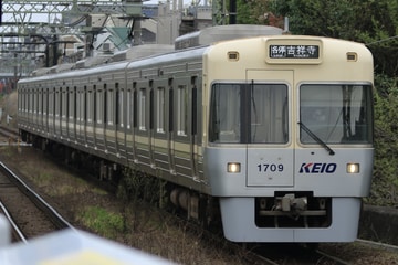Uploaded Picture