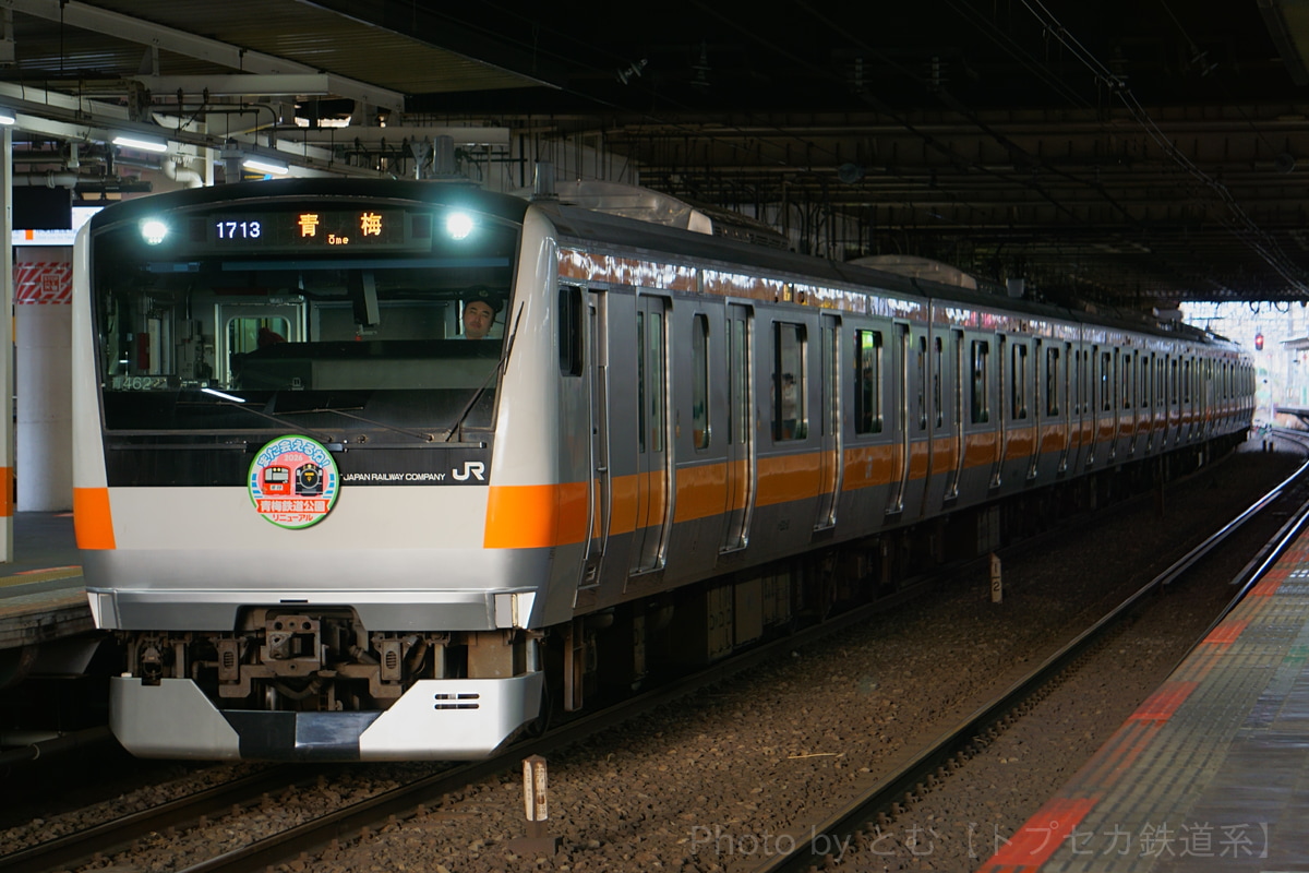 JR東日本 豊田車両センター本区 E233系 トタ青462編成