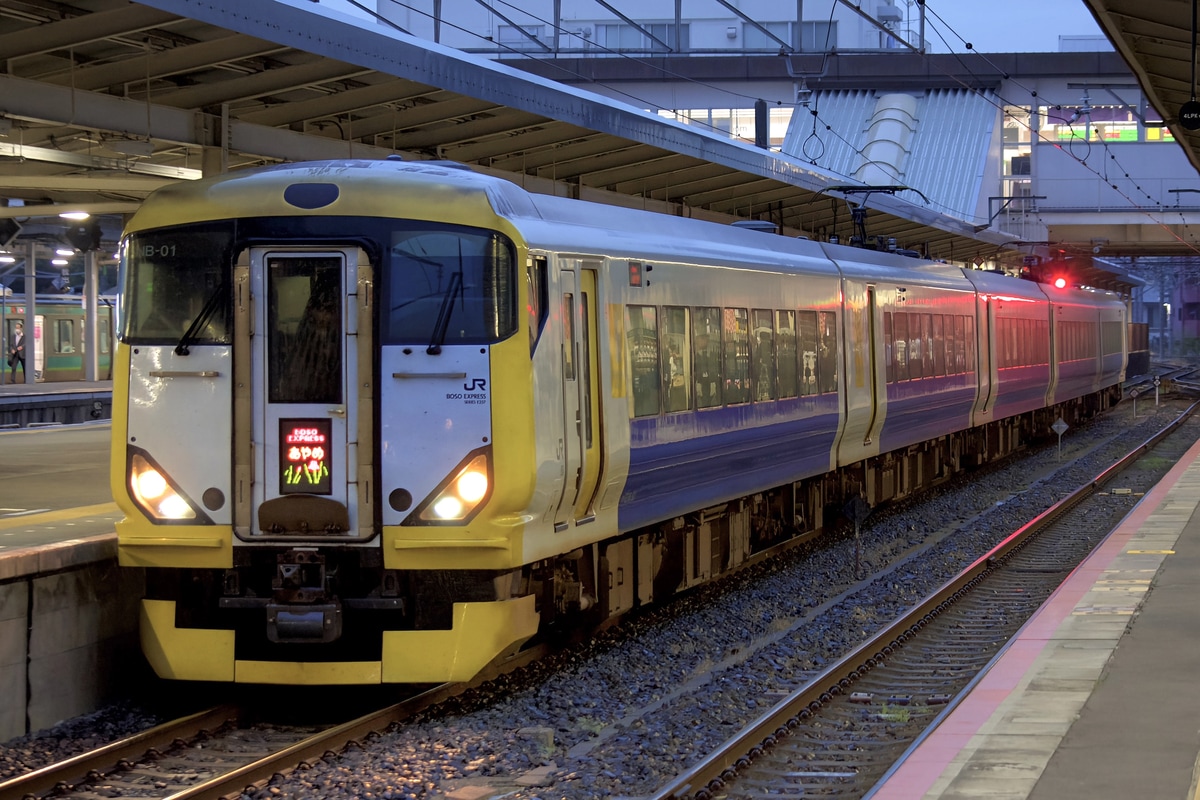 JR東日本 幕張車両センター e257系 マリNB-01編成