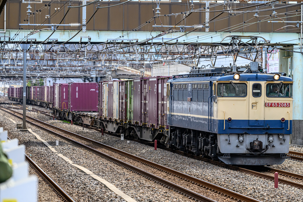 JR貨物 新鶴見機関区 EF65 2085