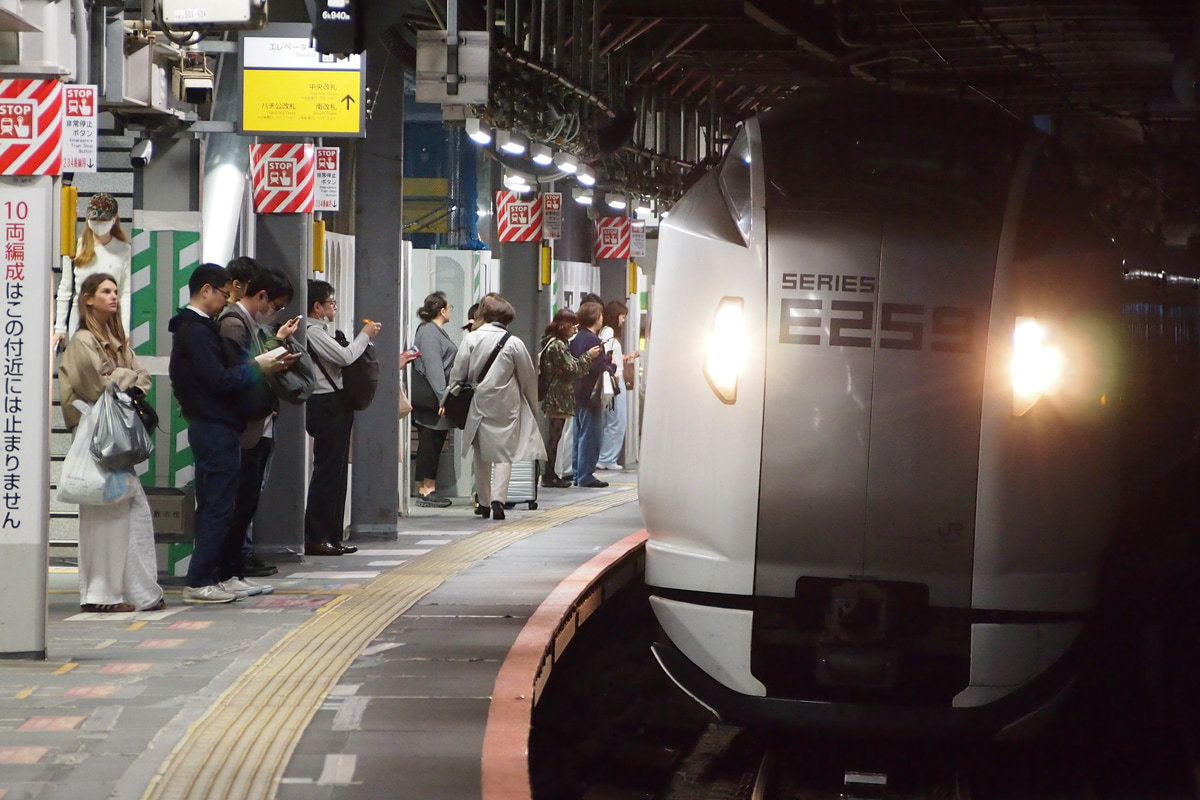 JR東日本 鎌倉車両センター本所 E259系 クラNe019編成