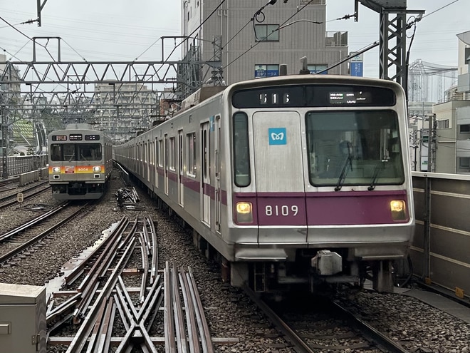 byYK君