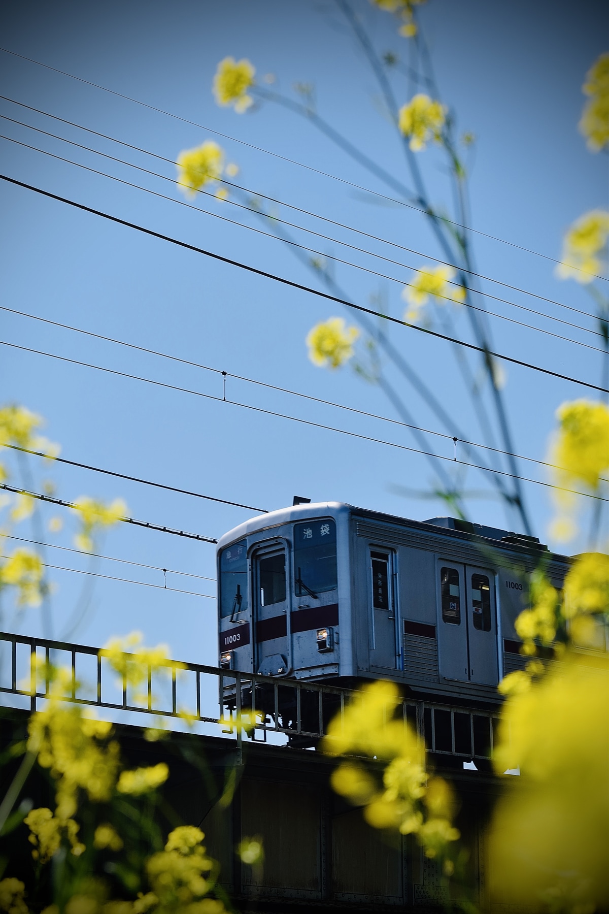 東武鉄道 森林公園検修区 10000系 