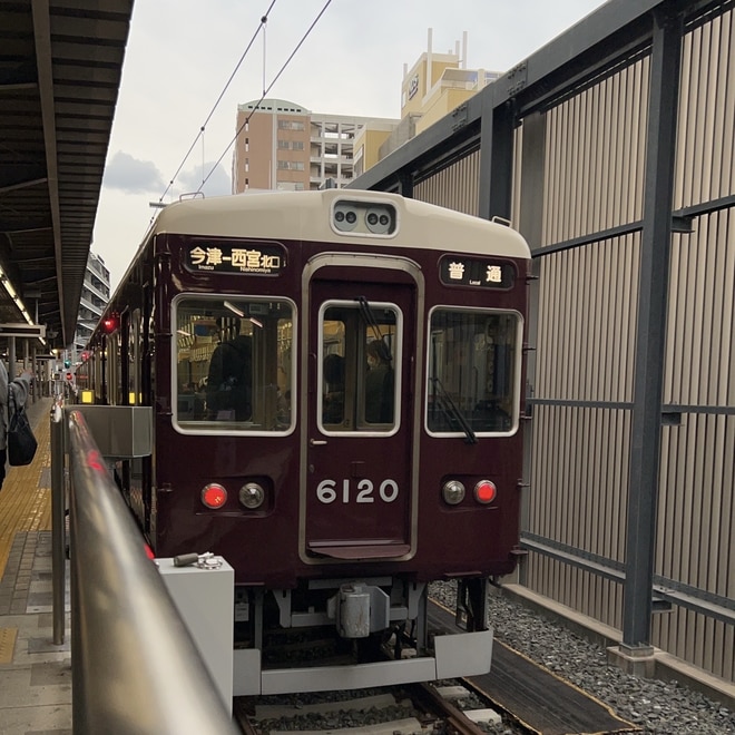 by塗るきんとん
