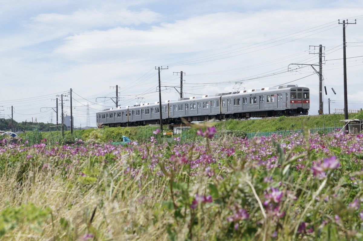 東急電鉄  8500系 8537f