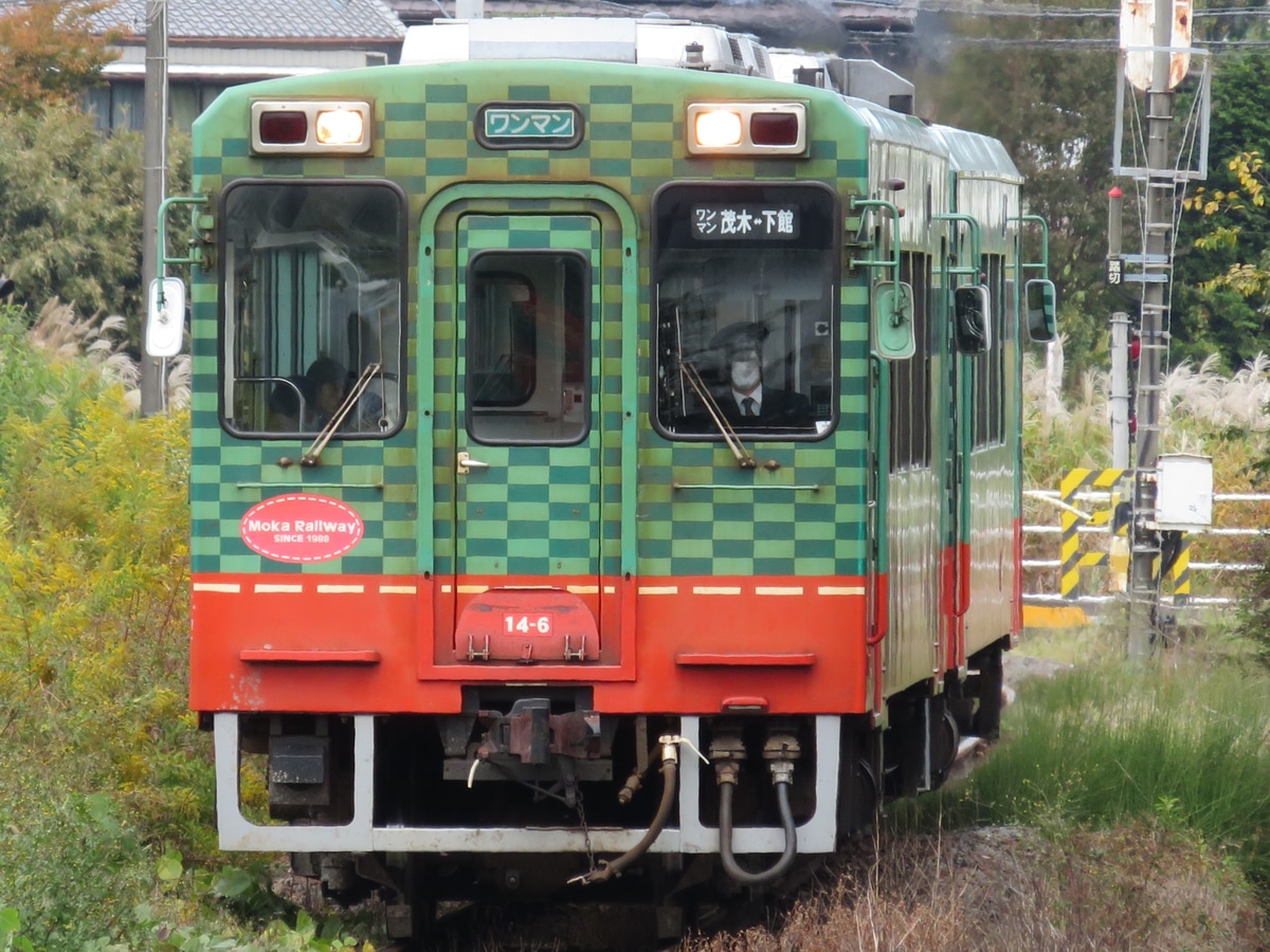 真岡鐵道 真岡機関区 モオカ14形 6