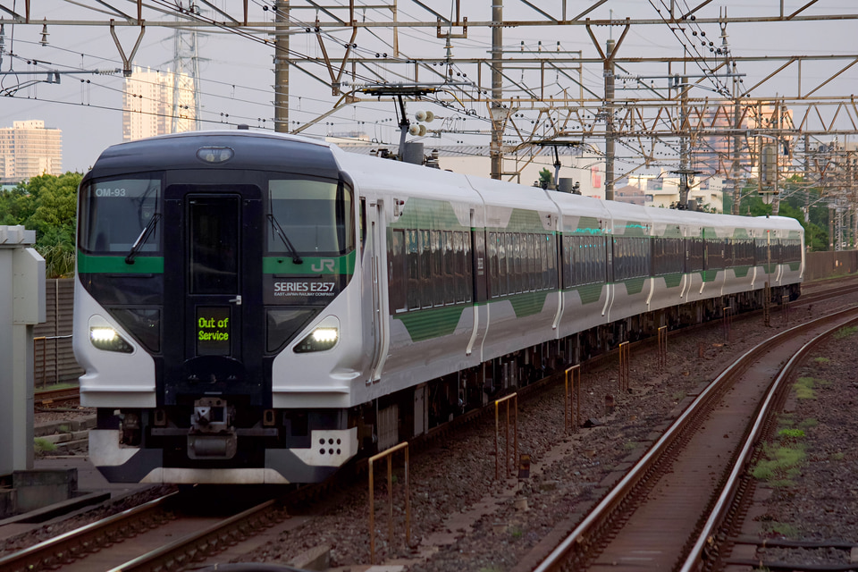 JR東E257系オオOM-93編成<br class="br-sp" />(オオOM-93)(OM93編成)(OM-93編成)の写真