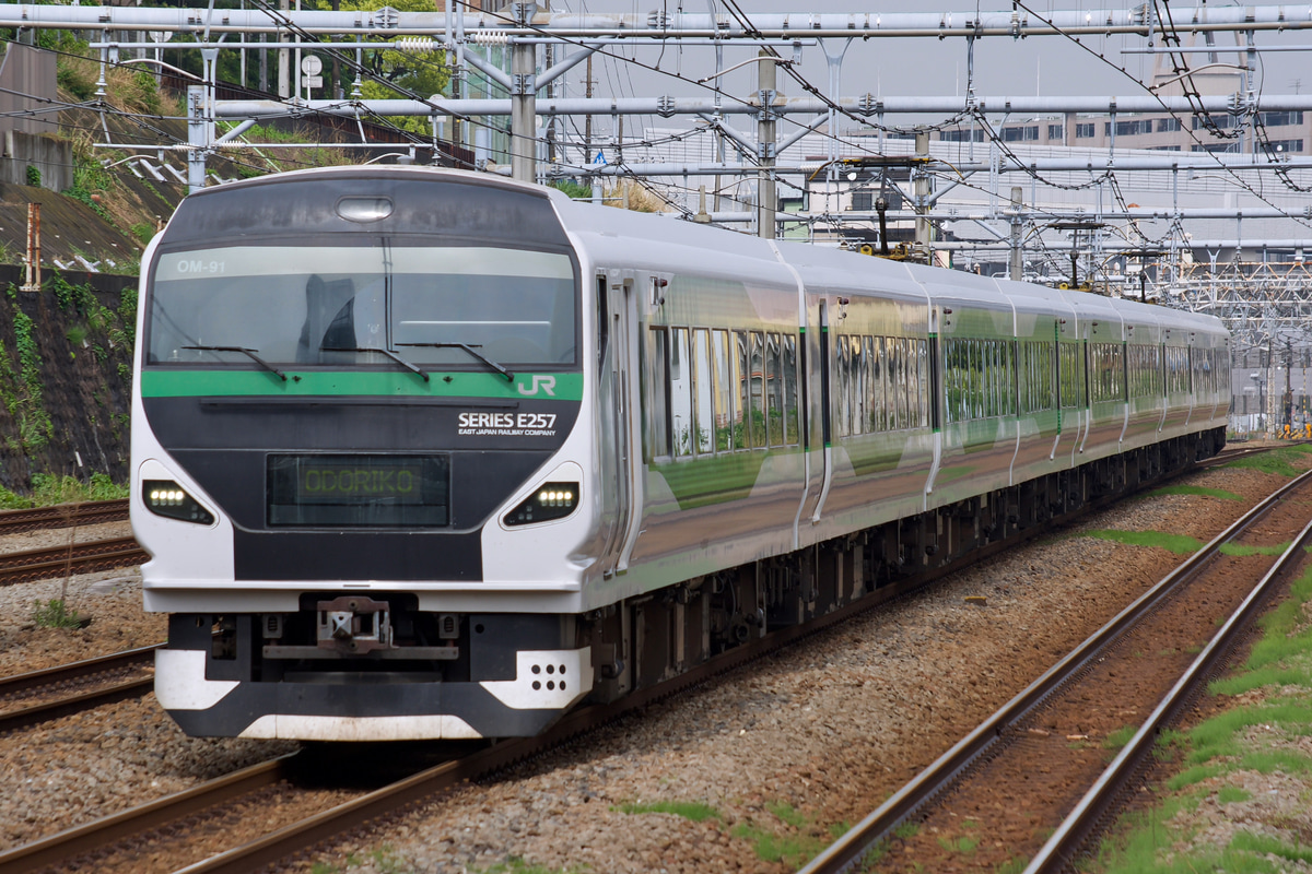 JR東日本 大宮総合車両センター東大宮センター E257系 オオOM-91編成