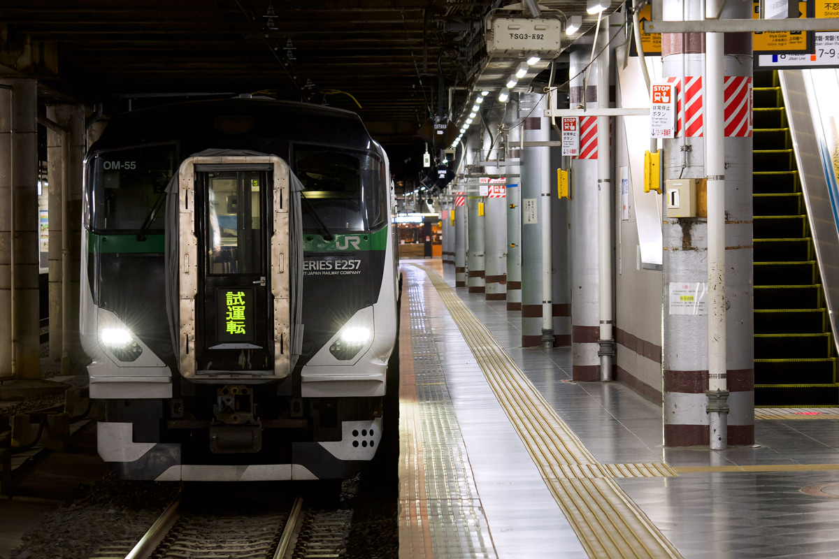 JR東日本 大宮総合車両センター東大宮センター E257系 オオOM-55編成