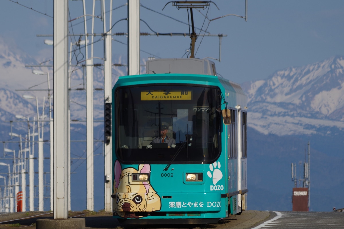 富山地方鉄道 稲荷町テクニカルセンター南富山車庫 8000形 8002号