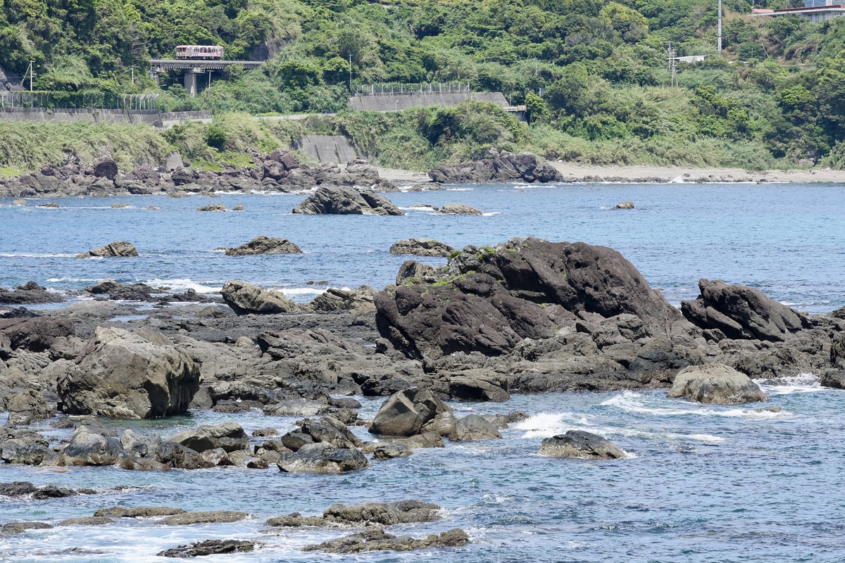 土佐くろしお鉄道 土佐くろしお鉄道中村車両基地 TKT8000形 4