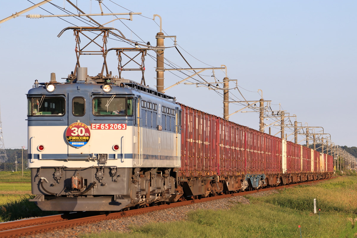 JR貨物 新鶴見機関区 EF65 2063