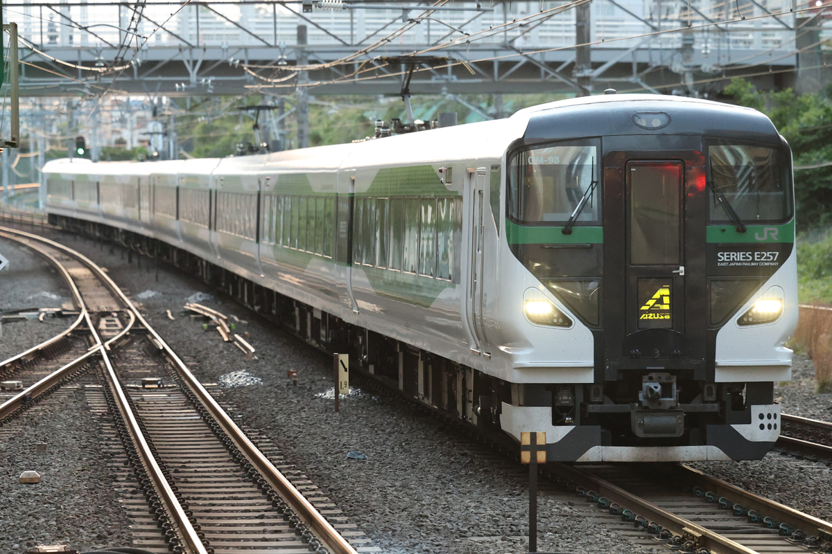 JR東日本 大宮総合車両センター東大宮センター E257系 オオOM-93編成