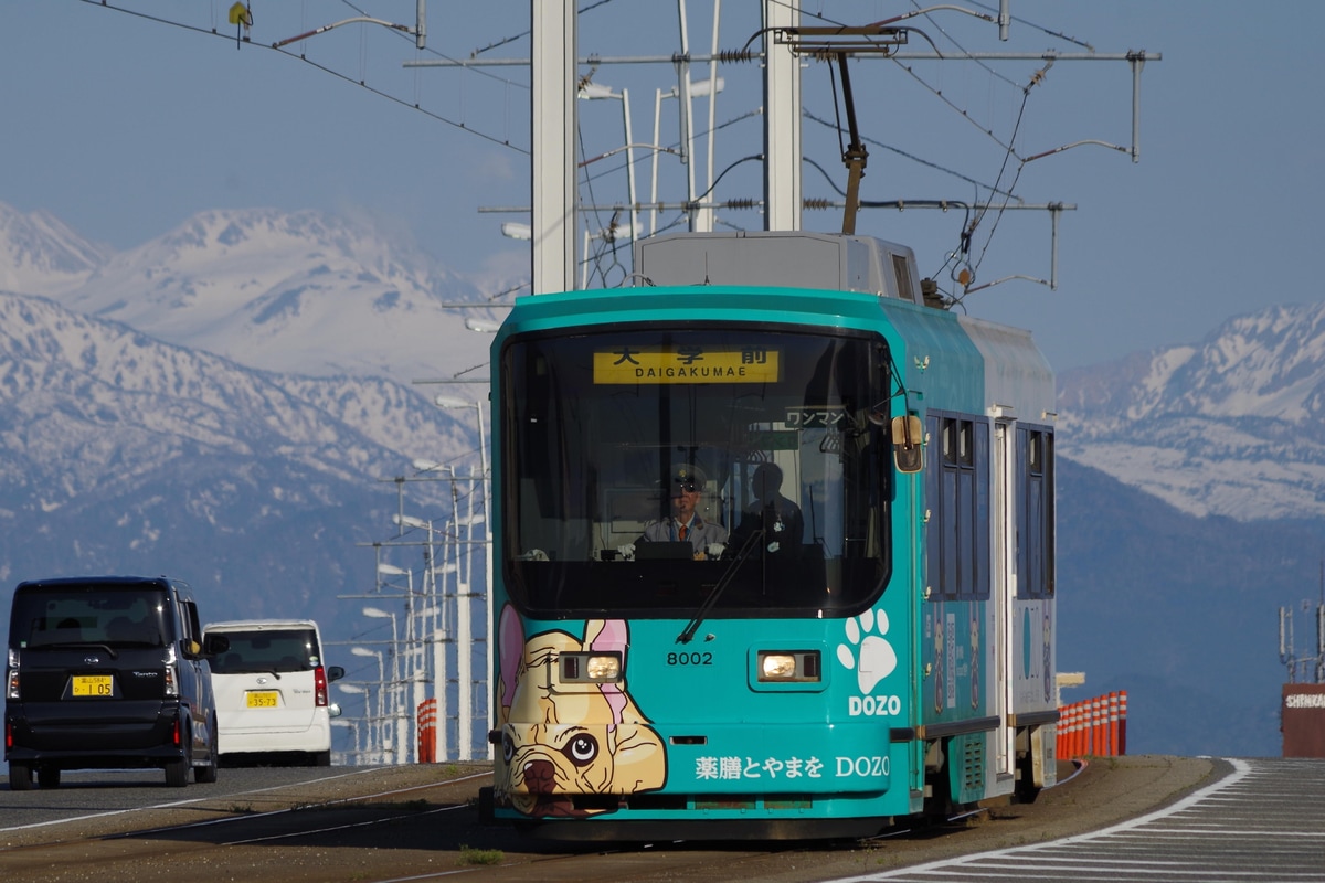 富山地方鉄道 稲荷町テクニカルセンター南富山車庫 8000形 8002号車