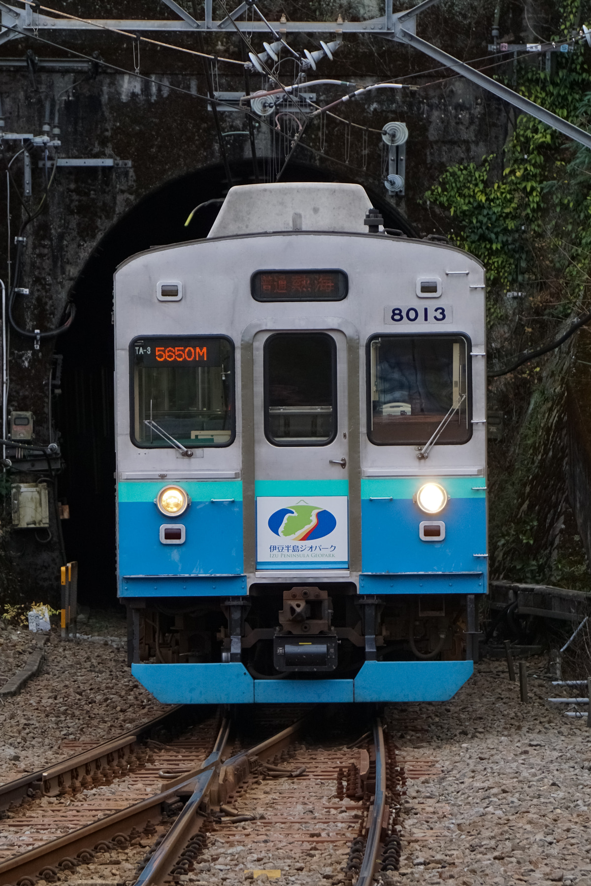 伊豆急行 伊豆高原電車区 8000系 TA-3