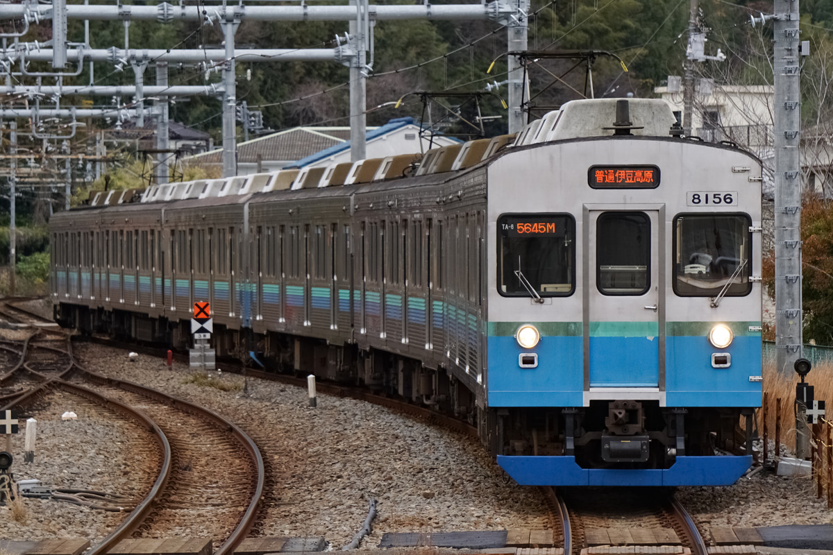 伊豆急行 伊豆高原電車区 8000系 TA-6