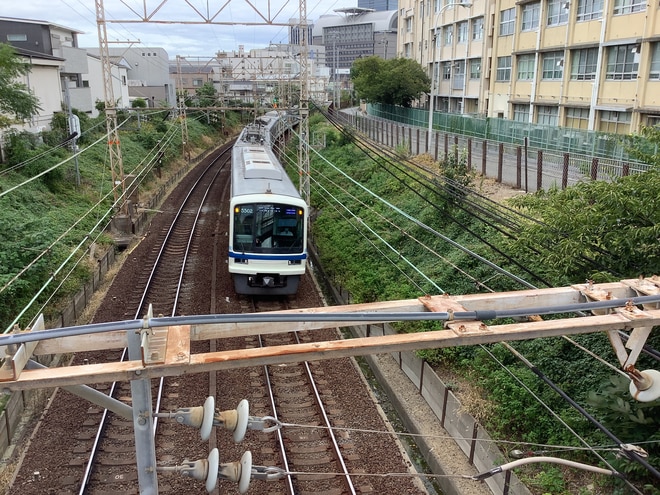 by大阪ではない