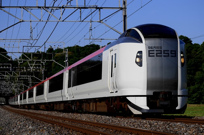 byセシウム