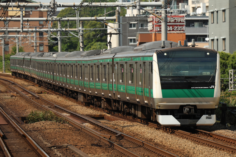 JR東E233系ハエ123編成<br class="br-sp" />(川123編成)(カワ123編成)の写真