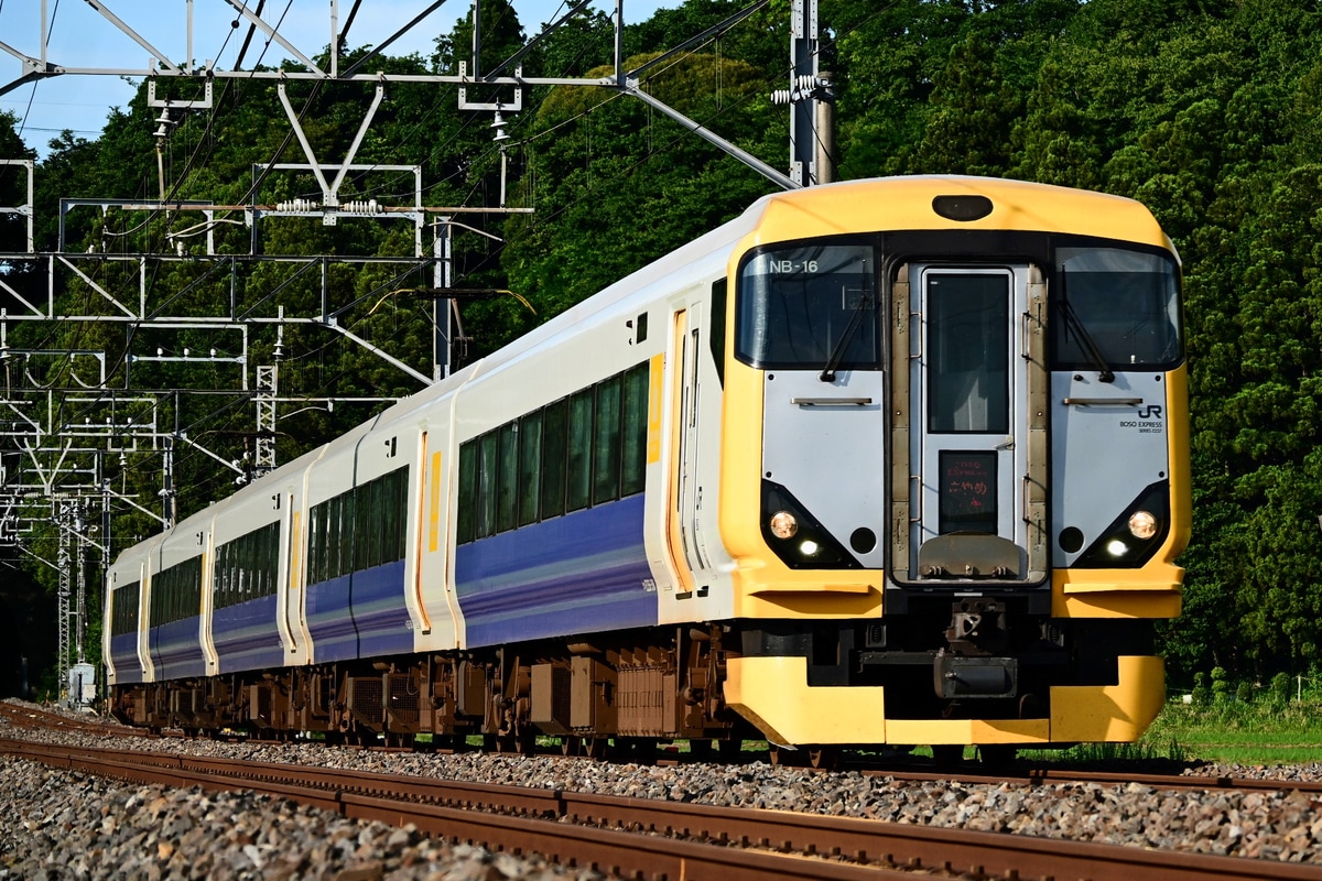 JR東日本 幕張車両センター E257系 NB-16編成