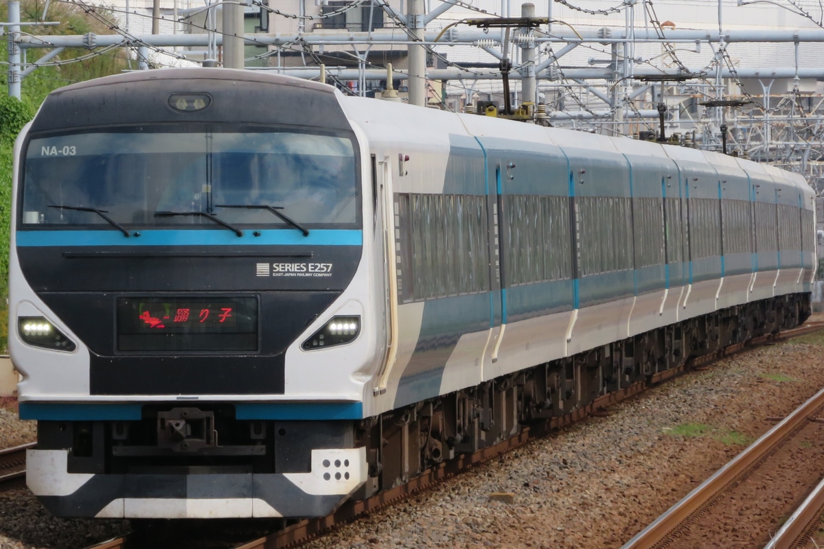 JR東日本 大宮総合車両センター東大宮センター E257系 オオNA-03編成