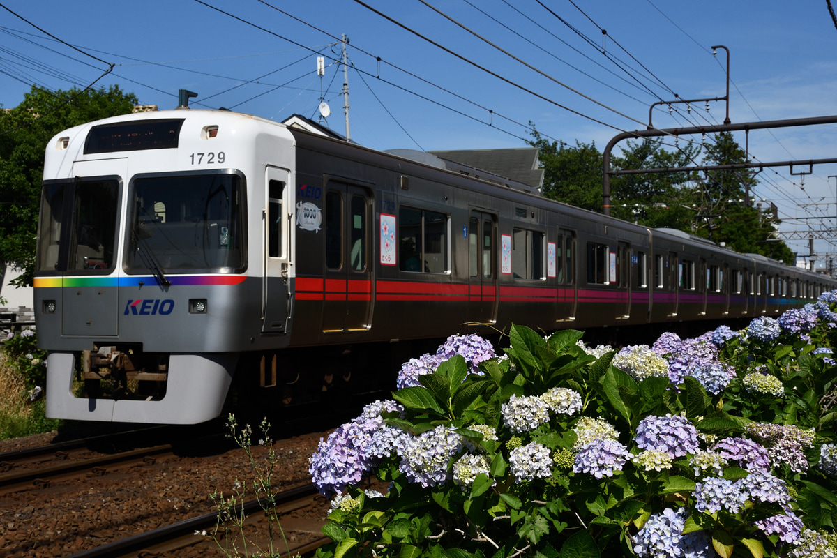 京王電鉄 富士見ヶ丘検車区 1000系 1779F