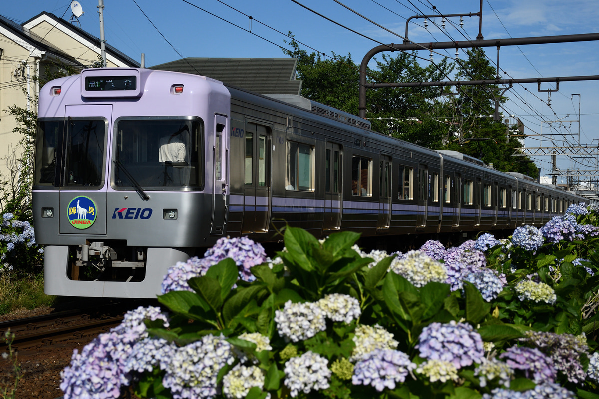 京王電鉄 富士見ヶ丘検車区 1000系 1755F