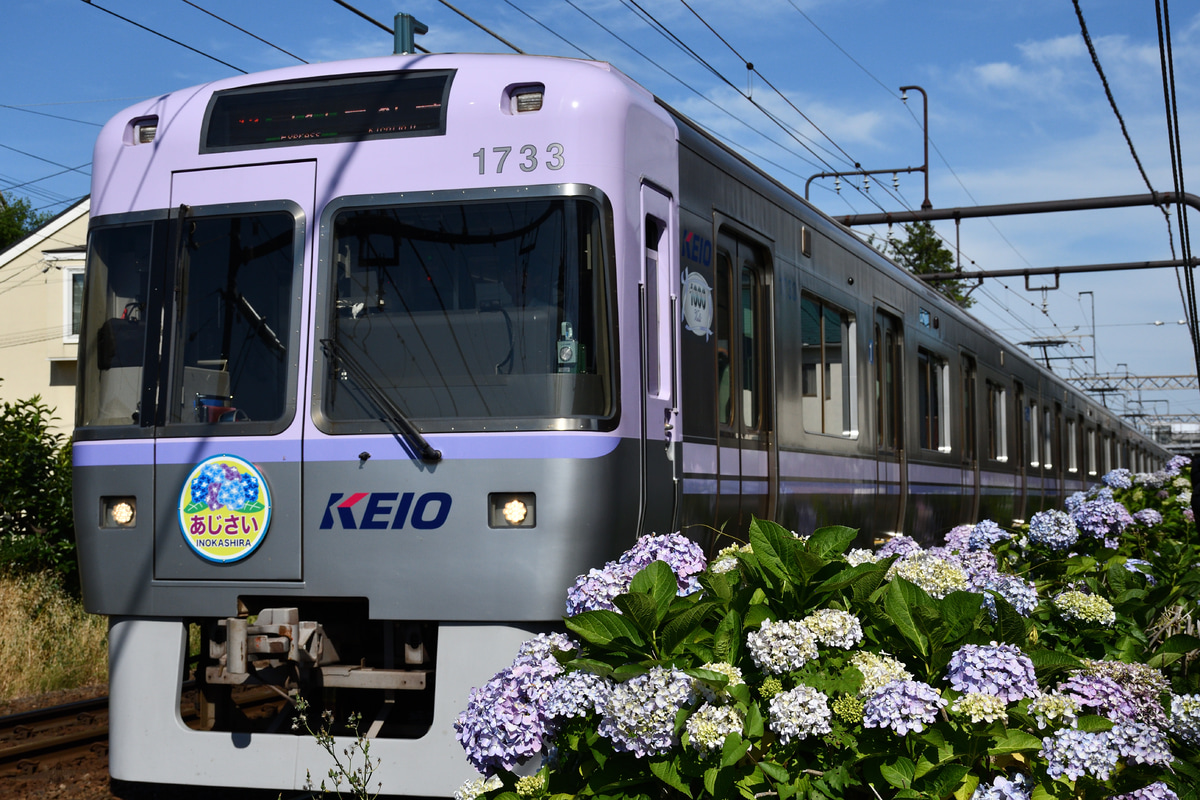 京王電鉄 富士見ヶ丘検車区 1000系 1783F