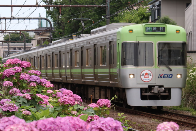 京王電鉄
