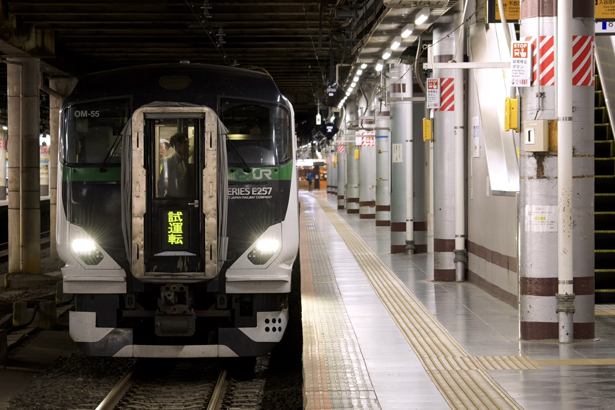 JR東日本 大宮総合車両センター東大宮センター E257系 オオOM-55編成