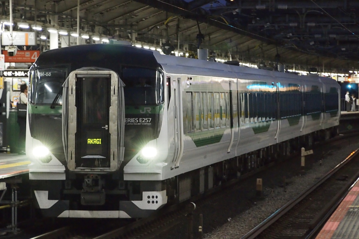JR東日本 大宮総合車両センター東大宮センター E257系 オオOM-55編成