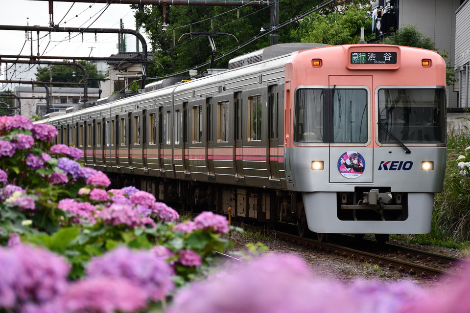 京王1753F<br class="br-sp" />(1753編成)(1703F)(1703編成)の写真