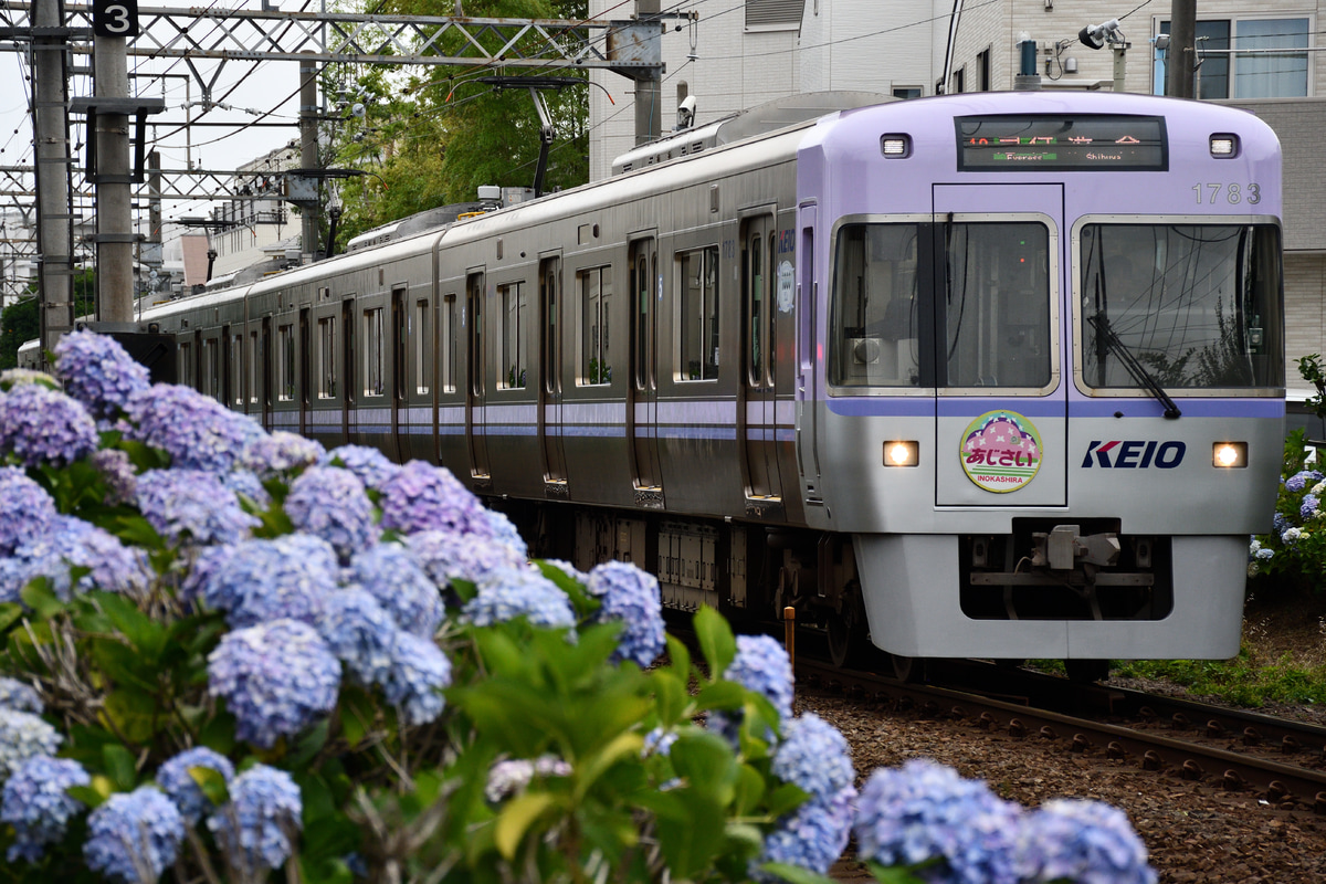 京王電鉄 富士見ヶ丘検車区 1000系 1783F