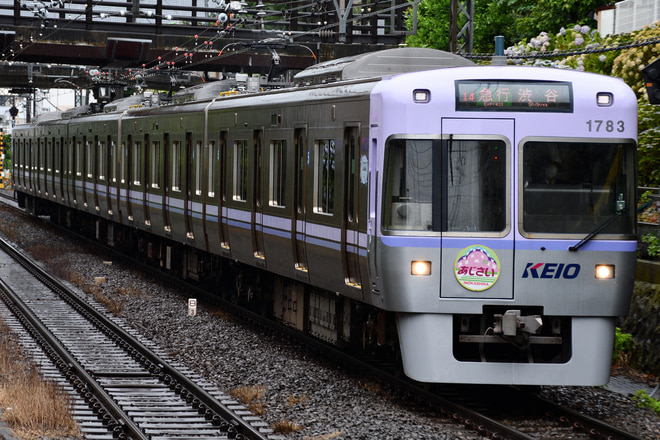 byはやと,