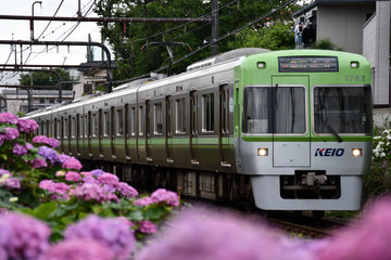 Uploaded Picture