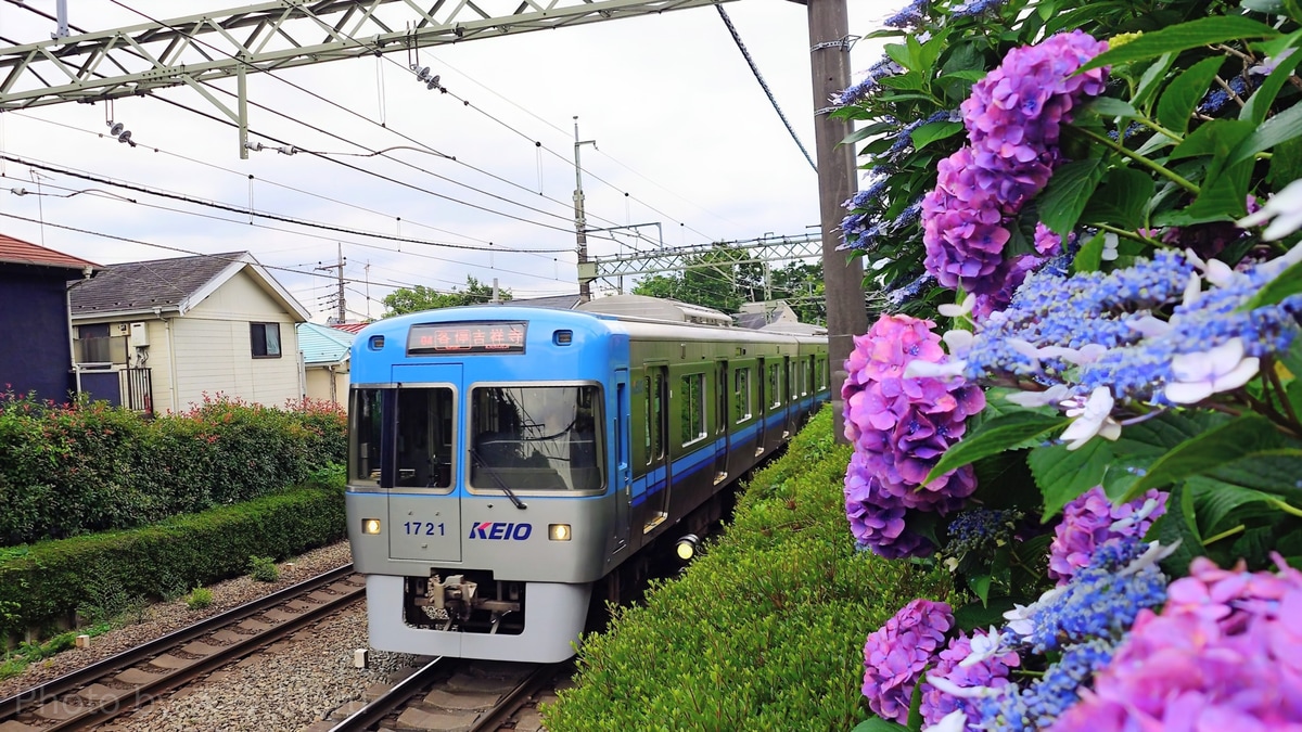 京王電鉄 富士見ヶ丘検車区 1000系 1771編成