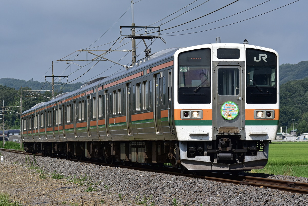 JR東日本  211系 A33編成